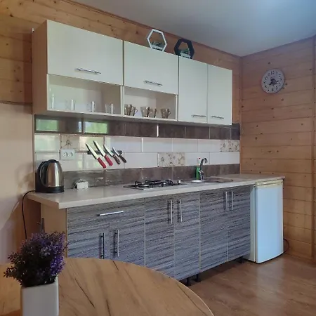 гірські подорожі * Slavske