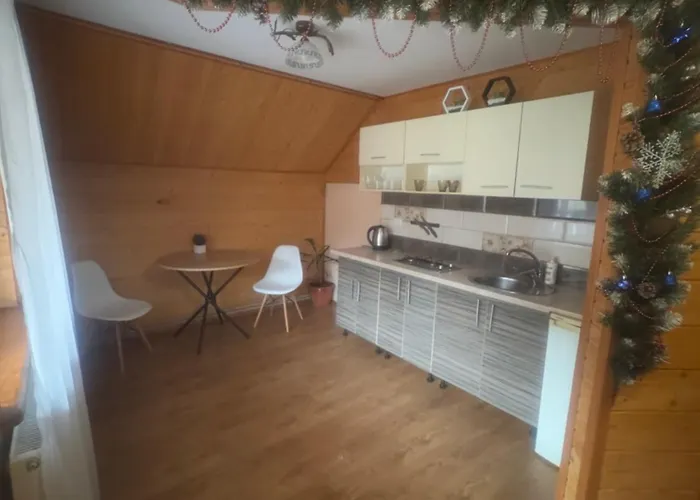 гірські подорожі Daire Slavske